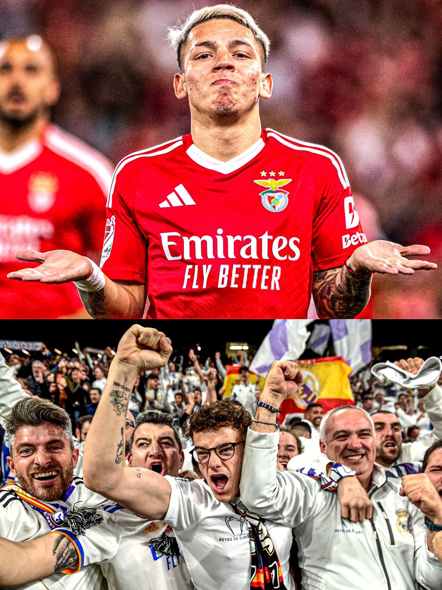 dataref_ar's tweet image. ✈️🇦🇷 Gianluca Prestianni está DECIDIDO a viajar la próxima semana para enfrentar a Real Madrid en el partido de vuelta por la UEFA Champions League más allá del CLIMA HOSTIL que le espera en el Santiago Bernabéu.

ℹ️: @Record_Portugal.