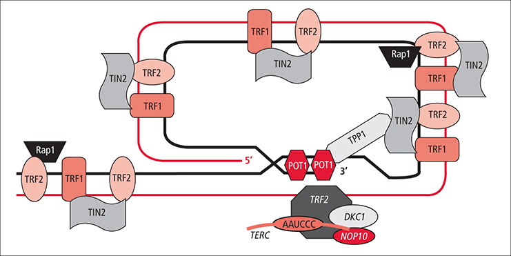 Marcos Arrut tweet media