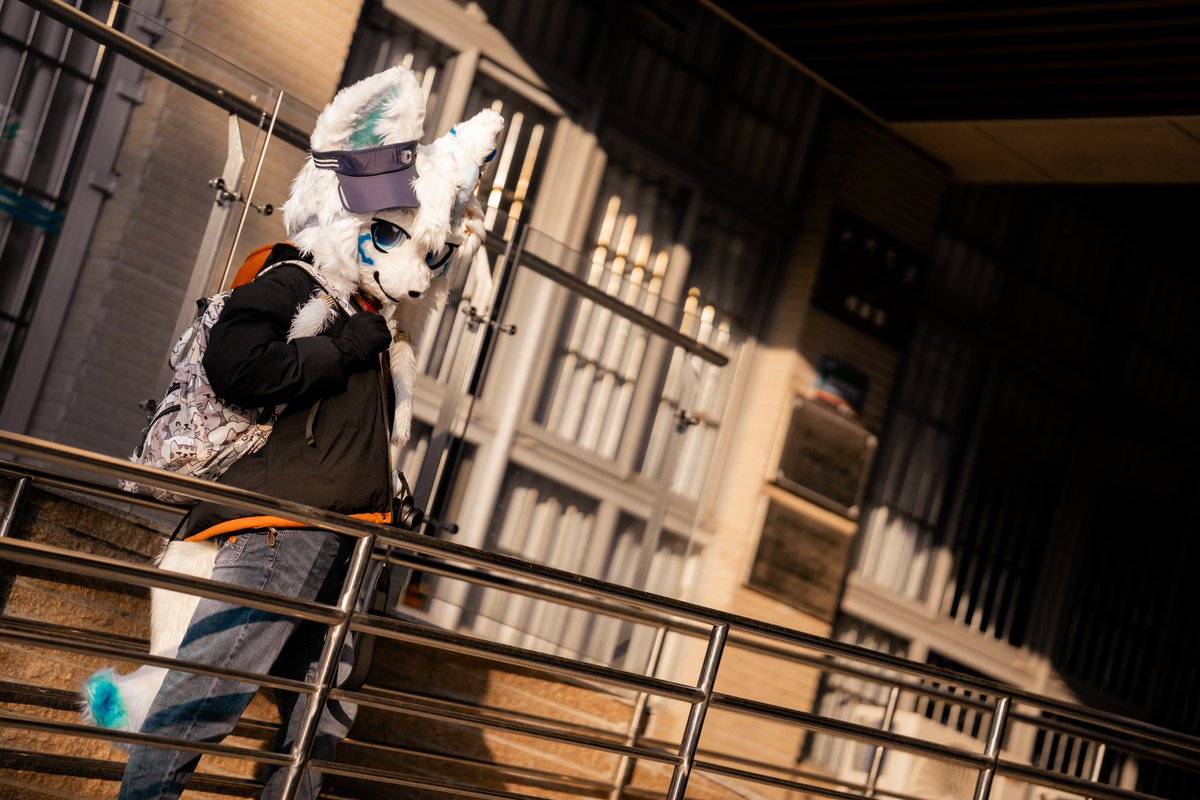 Cold（克洛） tweet media