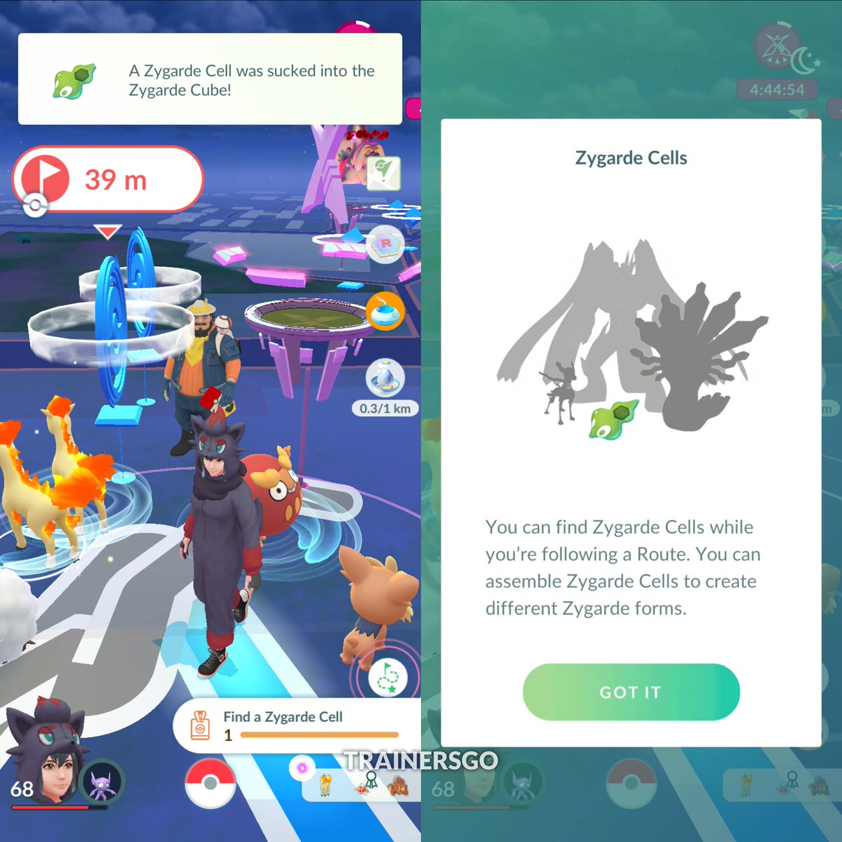 Trainers GO tweet media