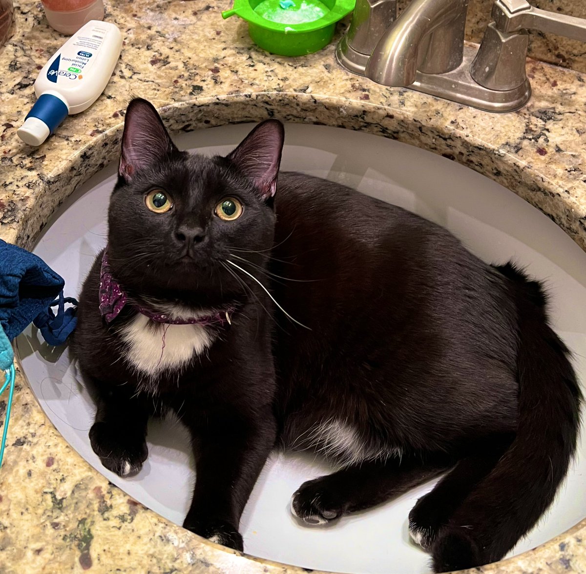 OuterOrange 🍊 tweet media