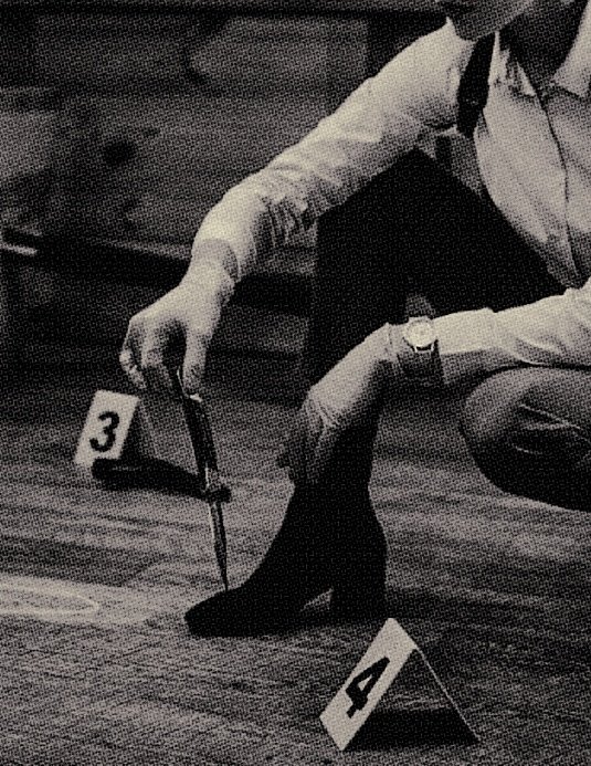 ᅠᅠᅠᅠ𝑘𝒂𝒔𝒔𝘢𝘯𝘥𝘳𝘢 .ᅠᅠᅠᅠᅠᅠᅠᅠ tweet media