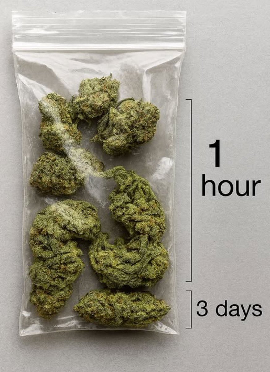 Stoner Barbie tweet media