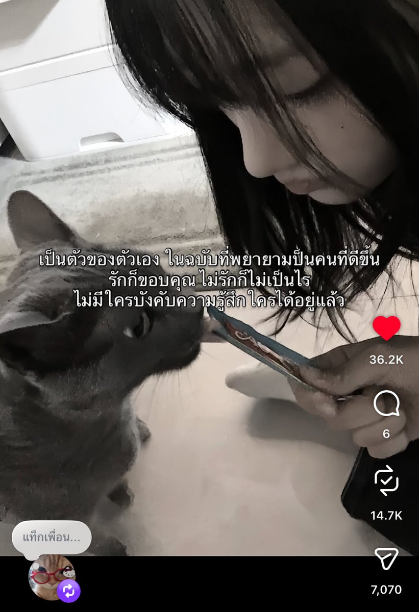 shiro ♡ׄ open 24HR ( #shrnekoz ) 🟢 (@shrnekoz) on Twitter photo 