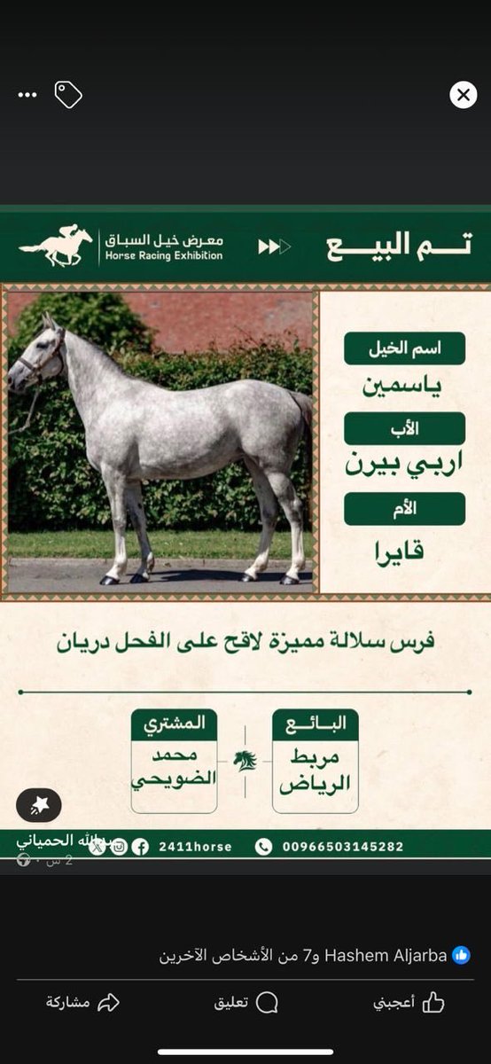 معرض خيل السباق (@24111horse) on Twitter photo 