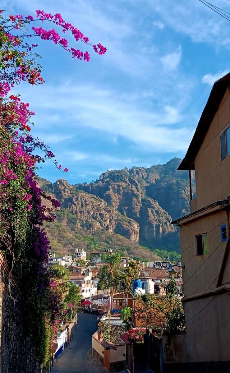 Buenos días ..!!! 
<a href="/_AnaLuna_/">Ana 🇲🇽</a> <a href="/AdrianaxD89/">Adriana 👑</a> <a href="/anagompra/">ANACELIA (Aniux) ❤💞🙏💋💐🌷🌹</a> @Anali46148134 <a href="/DehiraD/">Dehira Cerezo 😇😈</a> <a href="/deysimartz/">D e y s i Duck 💋</a> <a href="/ErennChU/">𝓔𝓻𝓮𝓷 𝓒𝓱𝓪𝓿𝓮𝔃 ★🔥</a> <a href="/Guirnalda18/">🦋👑 Princesa bendecida 👑🦋</a> <a href="/illeyann/">Illeyann_o</a> <a href="/JOY_YOYIS/">Joy- Vamos a tomarnos la vida a sorbos ☕😉💋</a> <a href="/LILIANLIQUIDANO/">LILIAN LIQUIDANO.</a> <a href="/MRCPD19/">🇲🇽😘😘MAGO🍷🪄🥂🍾🥳🥳🫰❣️♥️🫶🍀🐅🦁</a> <a href="/mocikat/">@Mocikat</a> <a href="/lyz5a/">polyl°ve💌</a> <a href="/Samakys16/">Miss Petite ★ツ</a> <a href="/ShaileLuuH/">💞💝 Shailee LuuHH Q💗💞💟💖</a> <a href="/srssandra1/">S@ndr@</a> <a href="/_aylinzuniga_/">Aylin Zuñiga ✨</a> <a href="/YODEBUENAS/">Miguel Barrientos Mx</a> <a href="/YoAmoLa99/">AmoLa99 💙🎶📻 #YoAmoLa99</a> <a href="/Paula_Fieval/">Paula Fierro✨</a> @