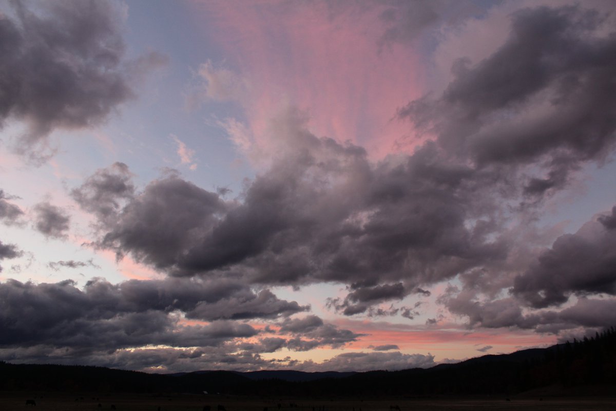 Snoockums_Noobnation tweet media