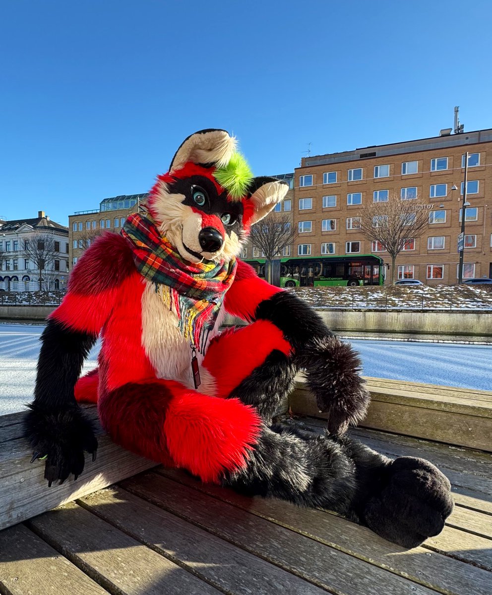 Ralfey 🔜 Japan 🔜 EF tweet media