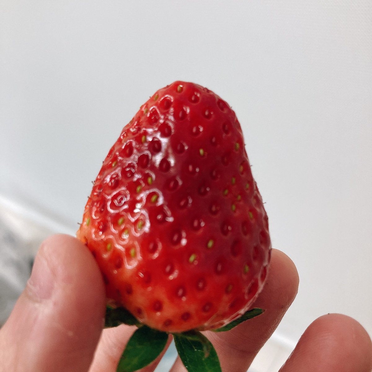 Mihina (Azumi Hina, Nagai Mihina)