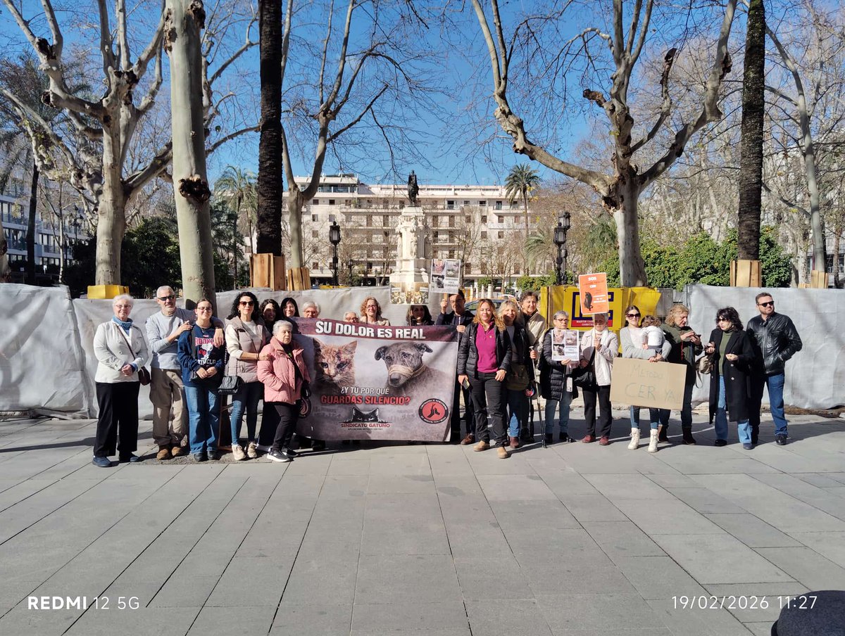 Desde el Partido Verde compartimos la indignación hacia el Ayuntamiento de Sevilla por la falsa promesa de implantación del CER (Captura, Esterilización y Retorno) de los gatos comunitarios. 8 gatos a la semana no soluciona el grave problema de desprotección de gatos y cuidador@s