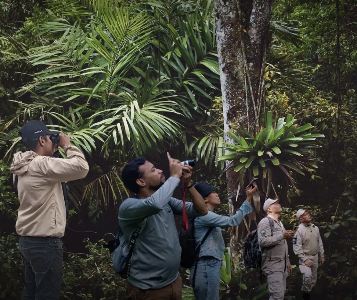Fundación Caribe Sur tweet media