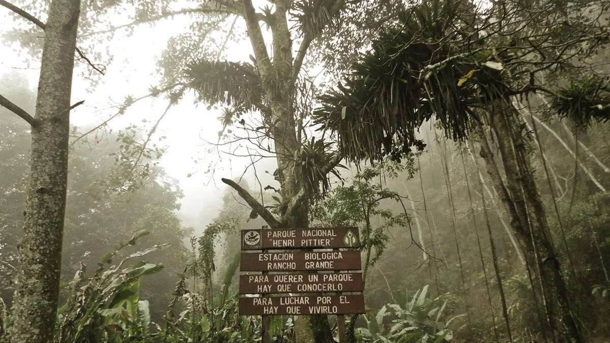 Fundación Caribe Sur tweet media