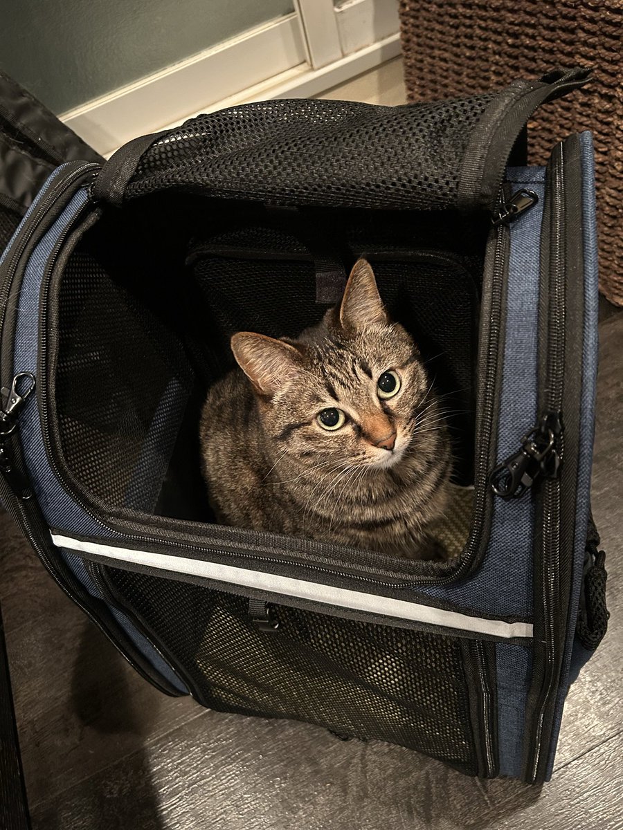 きんちゃん (@rich_peace_0311) / Posts / X