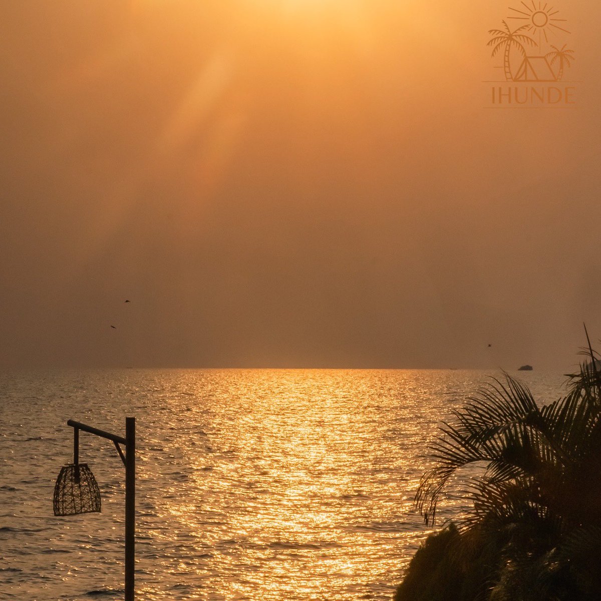 Ihunde Resort tweet media
