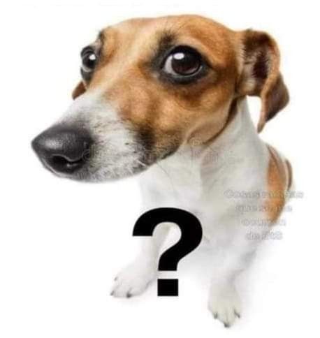 armylureal's tweet image. Prefieren q su grupo fav haga disband o que se tenga q salir un integrante para q sigan haciendo música??