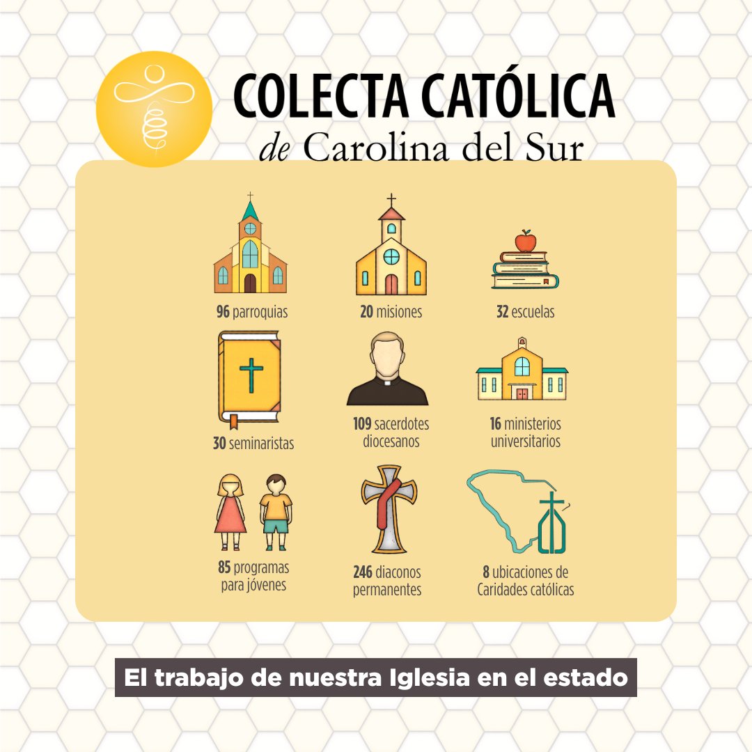 DioceseChas's tweet photo. Just like a colony of bees, there are many moving parts across South Carolina dedicating their efforts to serve the Catholic Church. 🐝 🍯
To learn more or to make a donation please visit: https://t.co/yqeW2dRJXC
#CASC #CatholicAppeal https://t.co/egqn2IMTx2