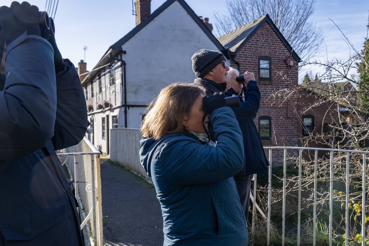 Dr Ellie Chowns MP tweet media