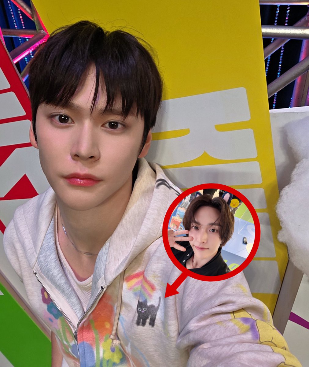 hinbabe🐈🐈‍⬛