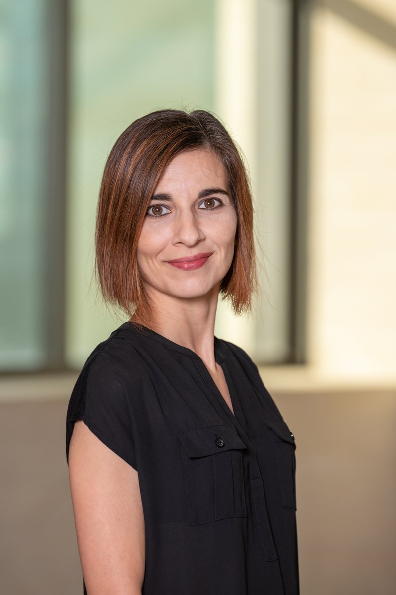 Neuro Logic Podcast tweet media