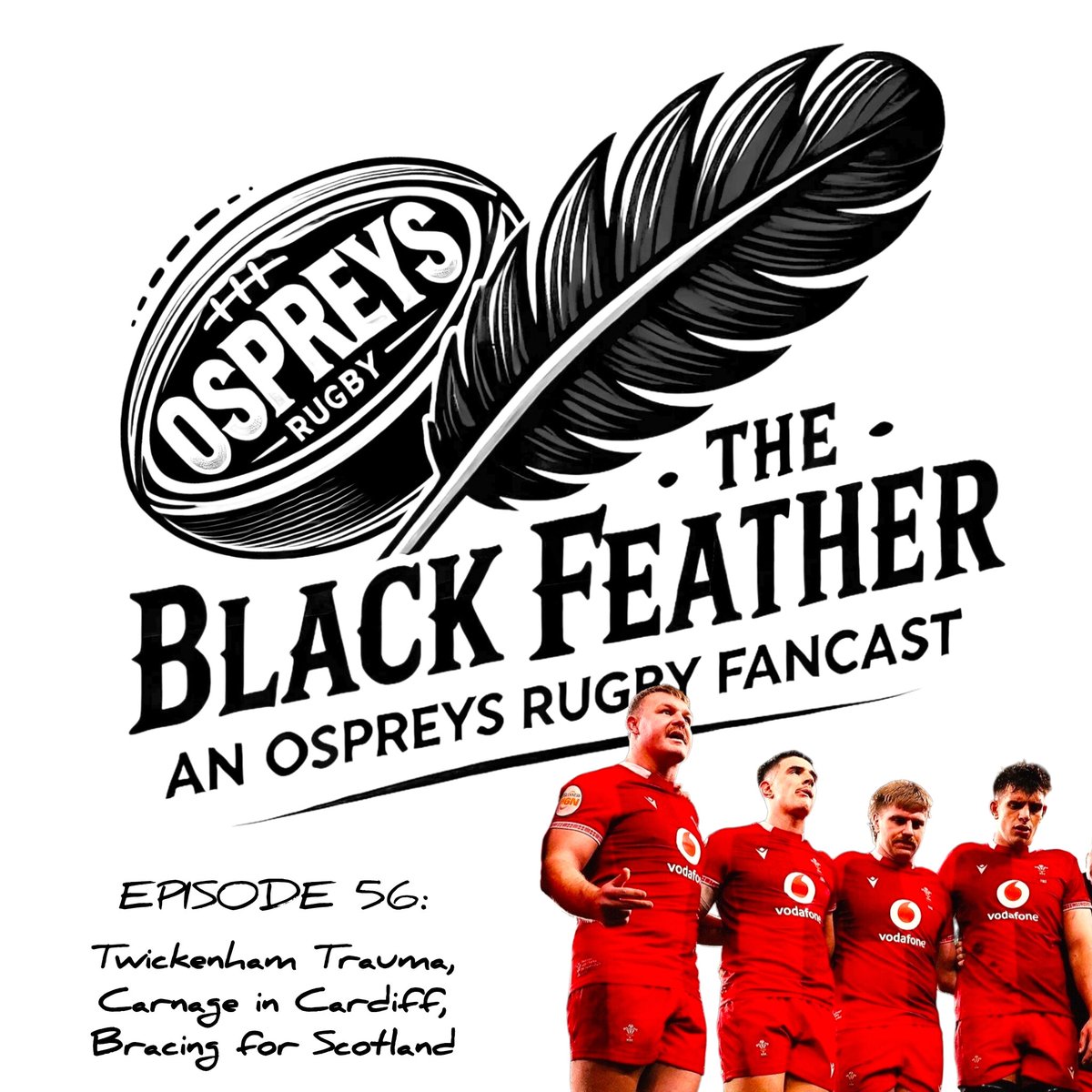 The Black Feather: An Ospreys Rugby Fancast tweet media