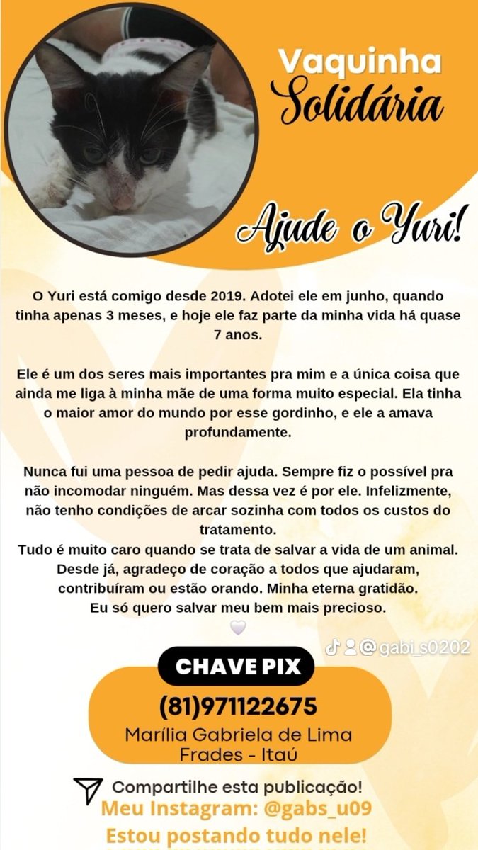 Gaboon277761's tweet photo. @martboficial Necessito de ajuda pro meu pet https://t.co/4icHrU1Bbq