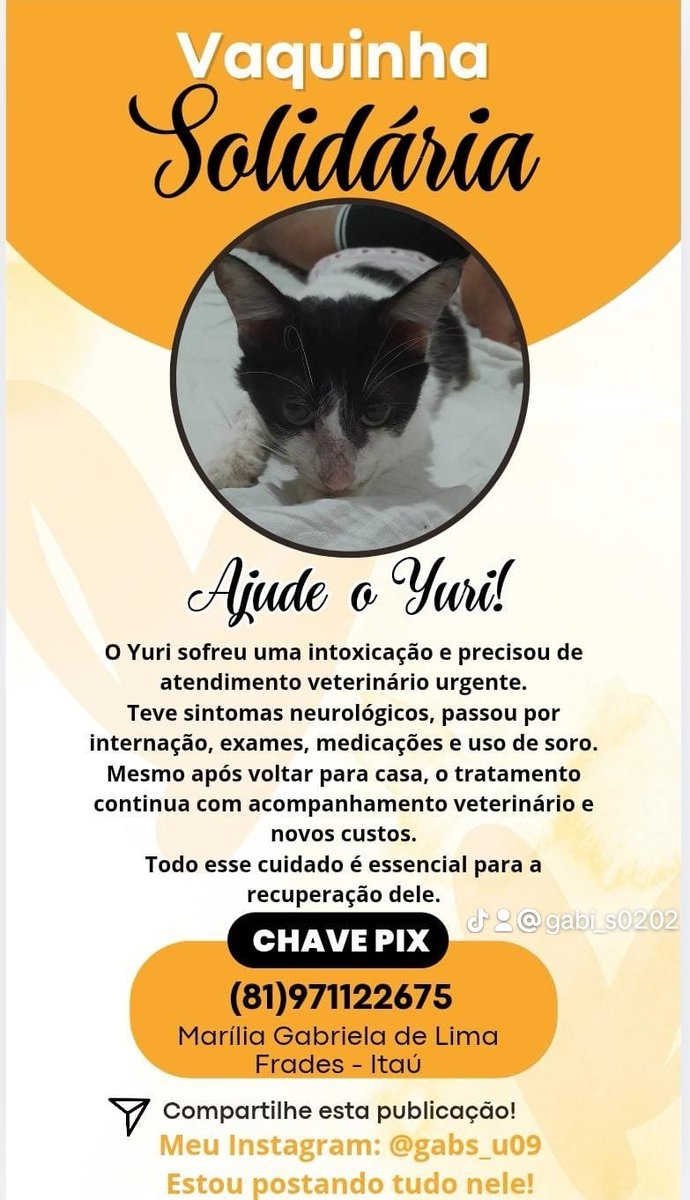 Gaboon277761's tweet photo. @martboficial Necessito de ajuda pro meu pet https://t.co/4icHrU1Bbq