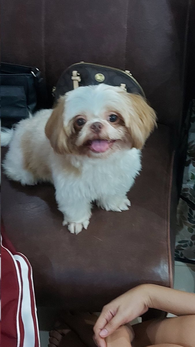 korbodraws's tweet photo. The criminal in question https://t.co/uELc2EGc1k