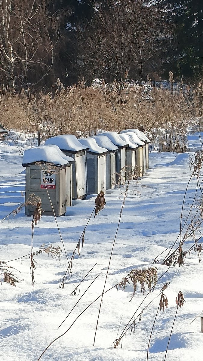 Miłego wieczoru i dobrej nocy dla Wszystkich. ❄️🥱🌠