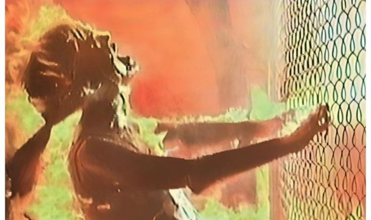 Niko_Gauto🇵🇾🌄 tweet media