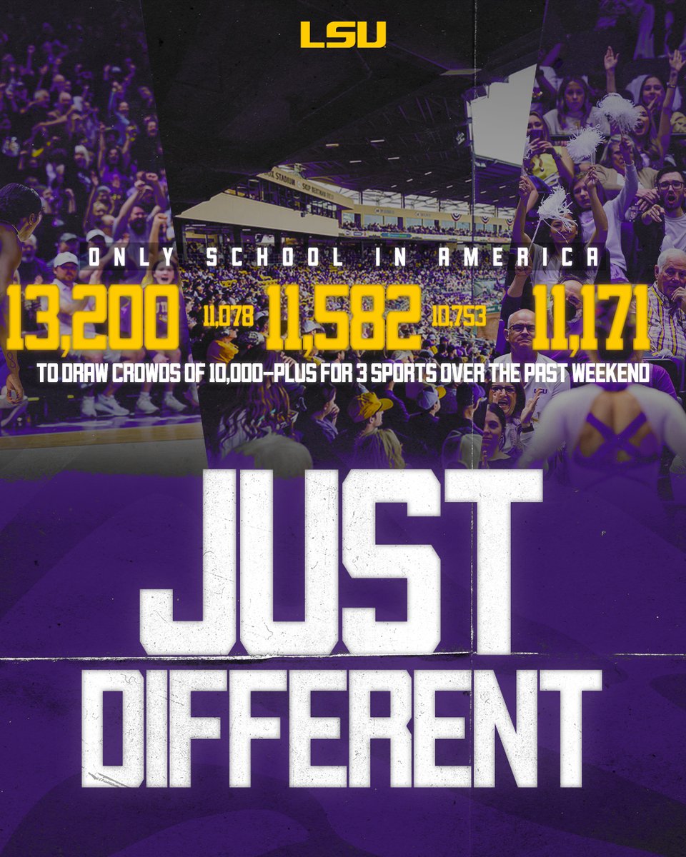 LSU Tigers tweet media