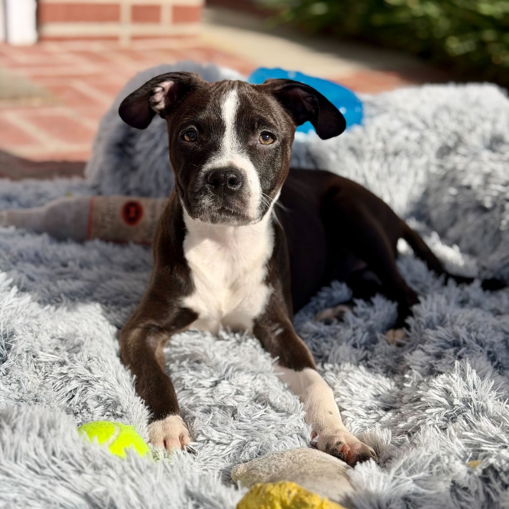 Off the Clock tweet media