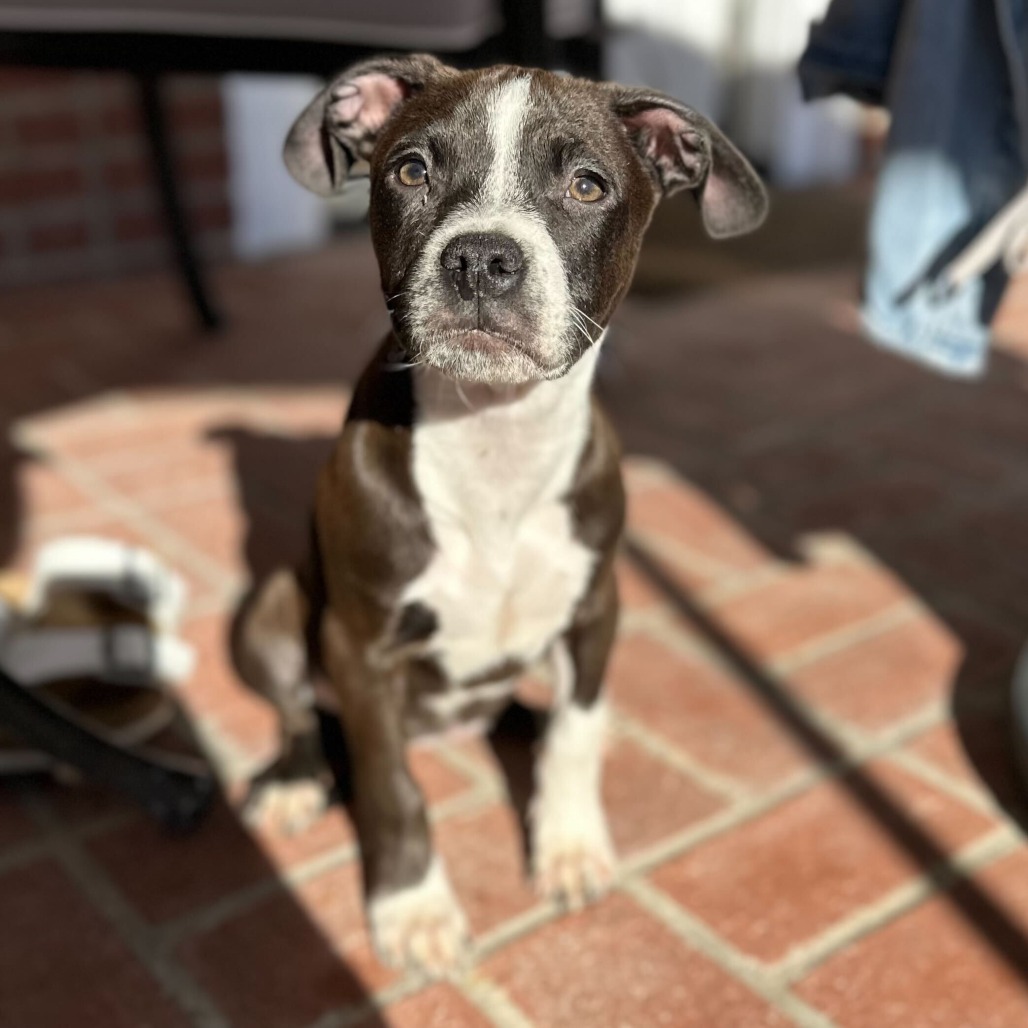 Off the Clock tweet media