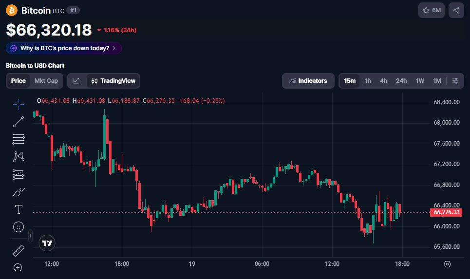 MissCrypto tweet media