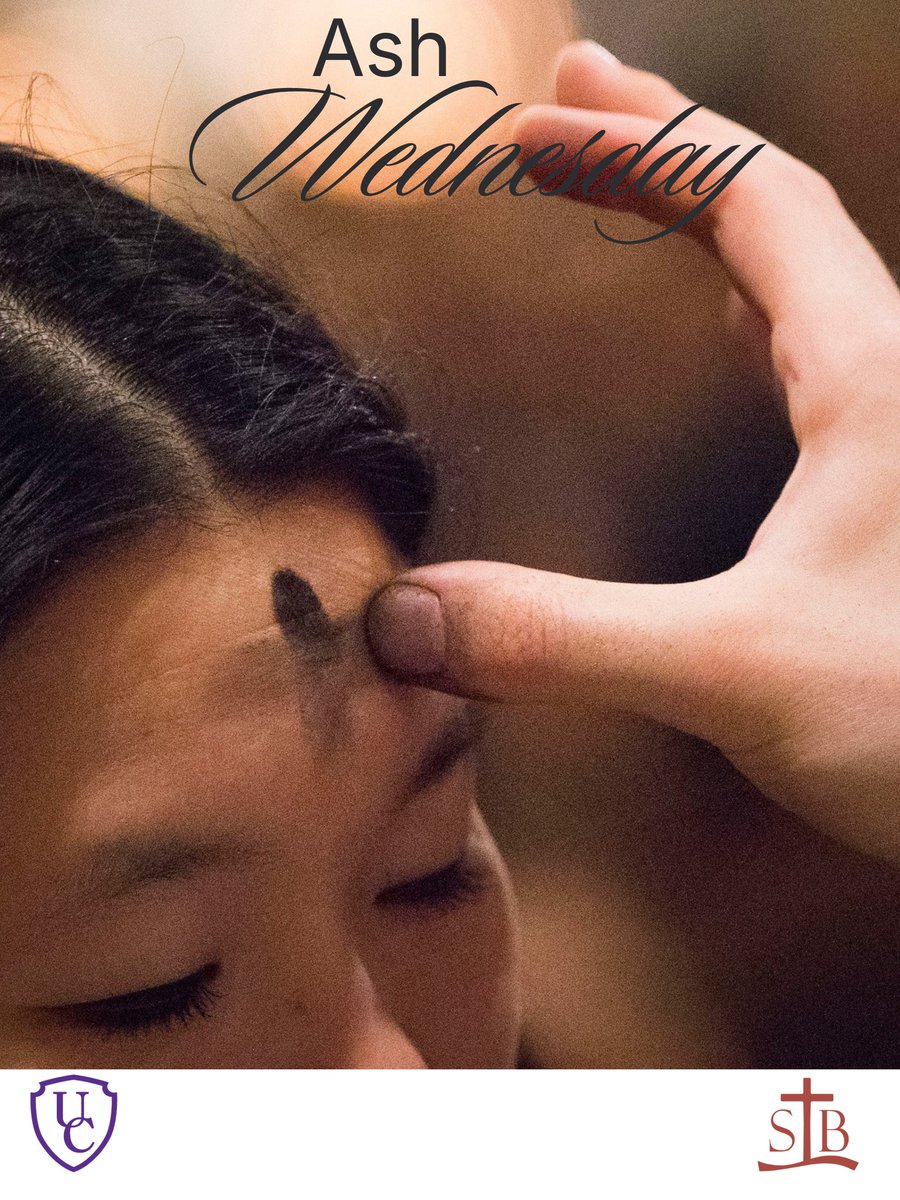 St. Bernard's Residence tweet media