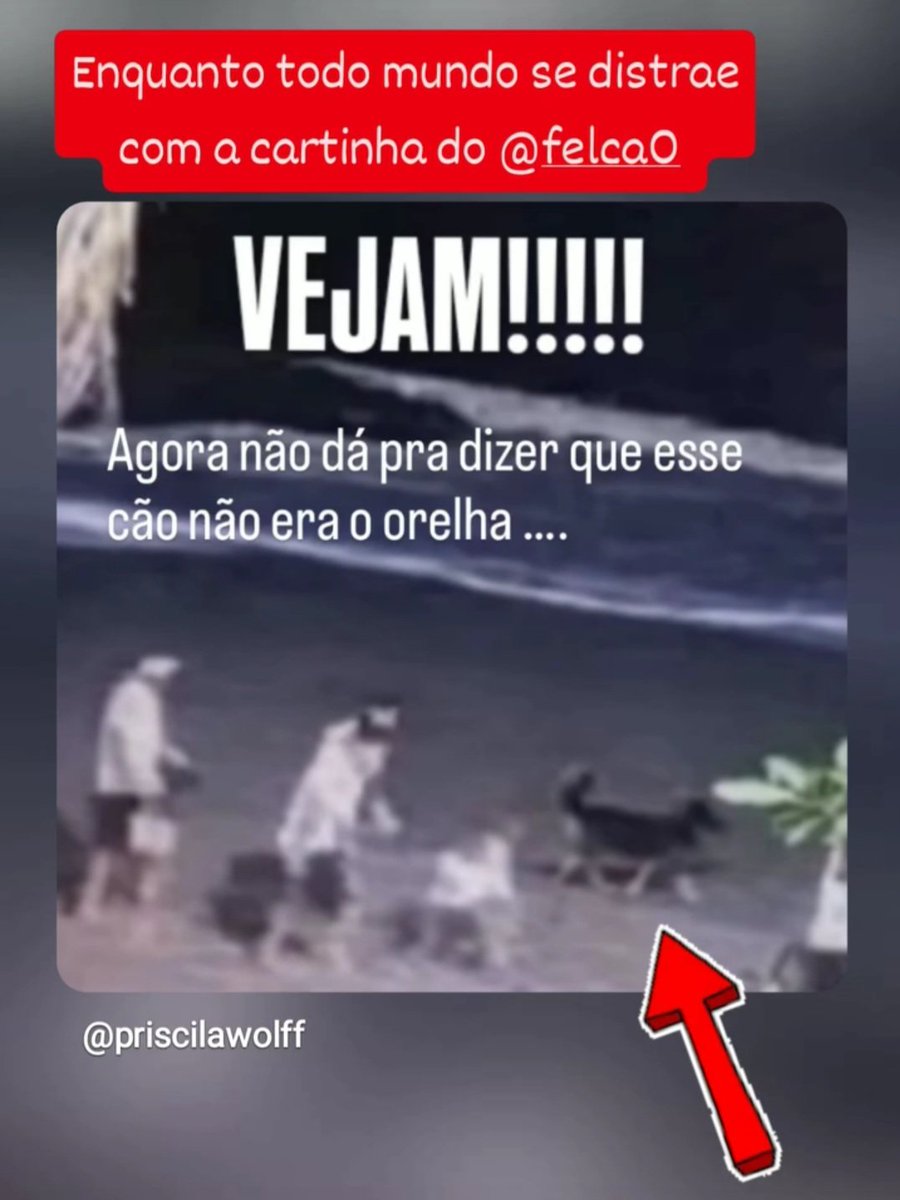 Ângelo Pinheiro 🏛🕯🗝🐍🐕 tweet media