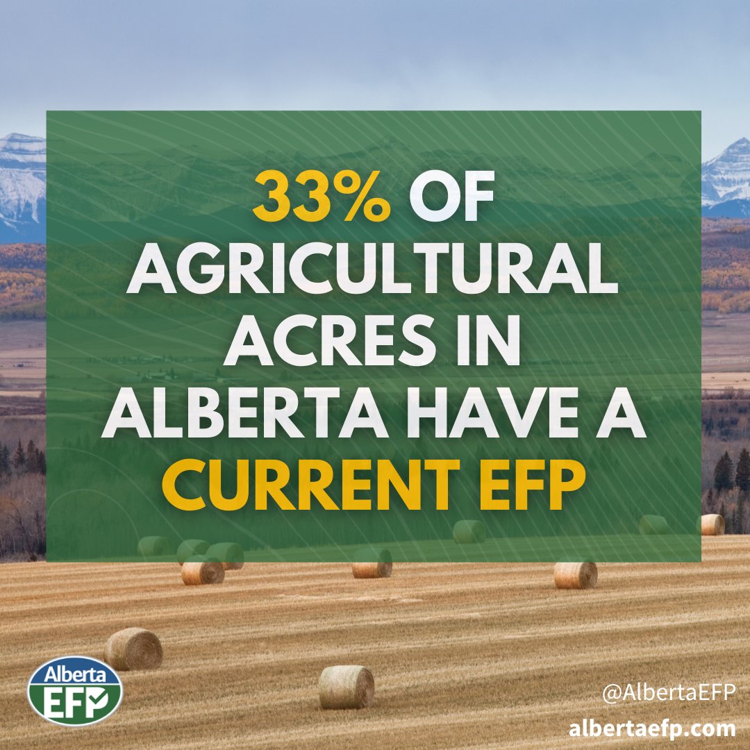AlbertaEFP's tweet photo. Curious why so many Alberta producers are getting an EFP?
See for yourself what the hype is all about and how the program can benefit your operation: https://t.co/nKqLebd71h #efp #abefp #sustainableagriculture #sustainablefarming #albertaag #agriculture https://t.co/7YsT9409hi