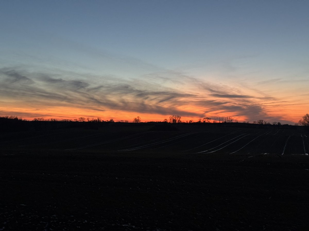 Der Graf tweet media