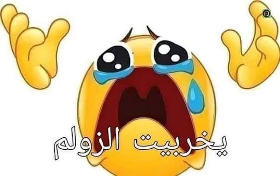 Traced Pixels tweet media