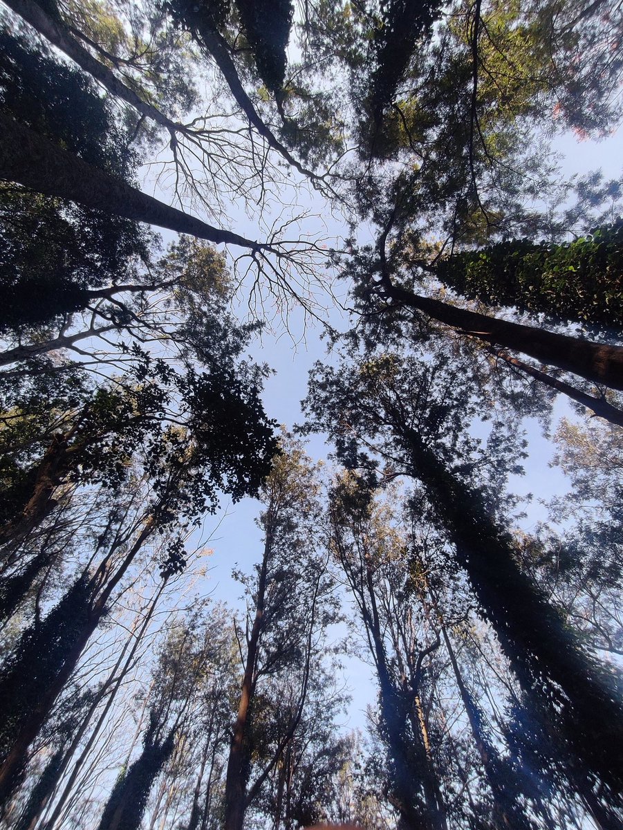 sujithdotcode's tweet image. I have a similar one