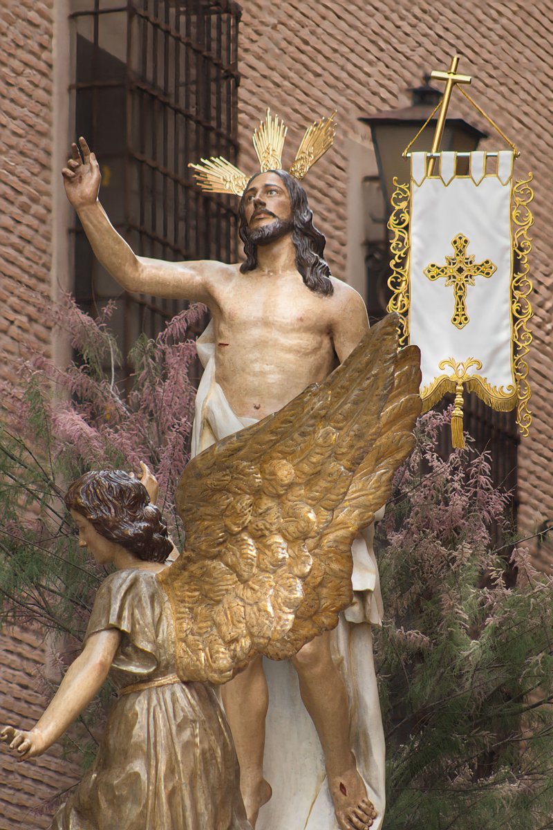 Devociones Procesionales tweet media
