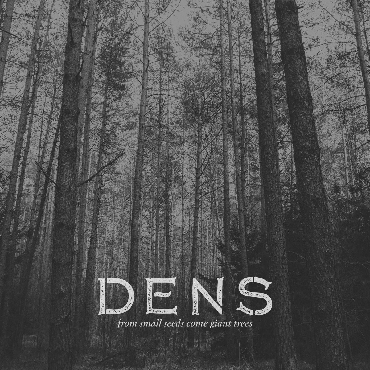 Dens tweet media