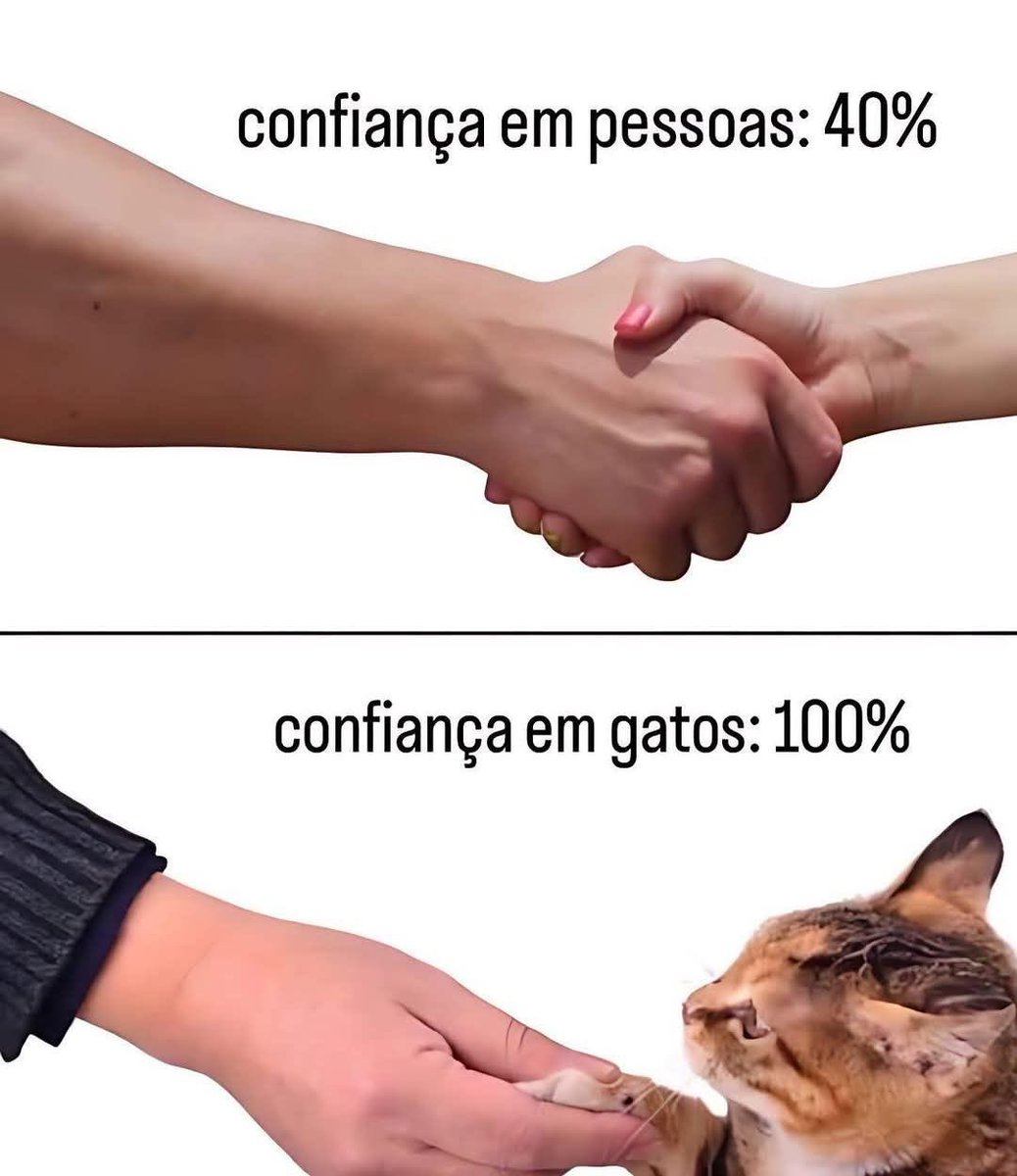 shitpostverdade's tweet photo. https://t.co/r1jpw48JWd