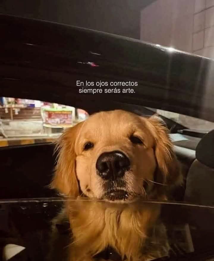frases sad (@retumbera) on Twitter photo 