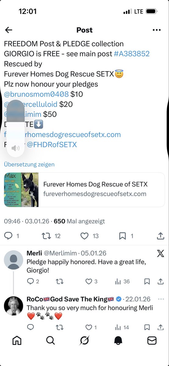 Merlimim's tweet photo. @FHDRofSETX @RoCoGB @brunosmom0408 Of course, I honored the pledge (as posted before) 🤷‍♀️ Thank you so much for saving all those lovely dogs!! https://t.co/wf39Q1cpKm