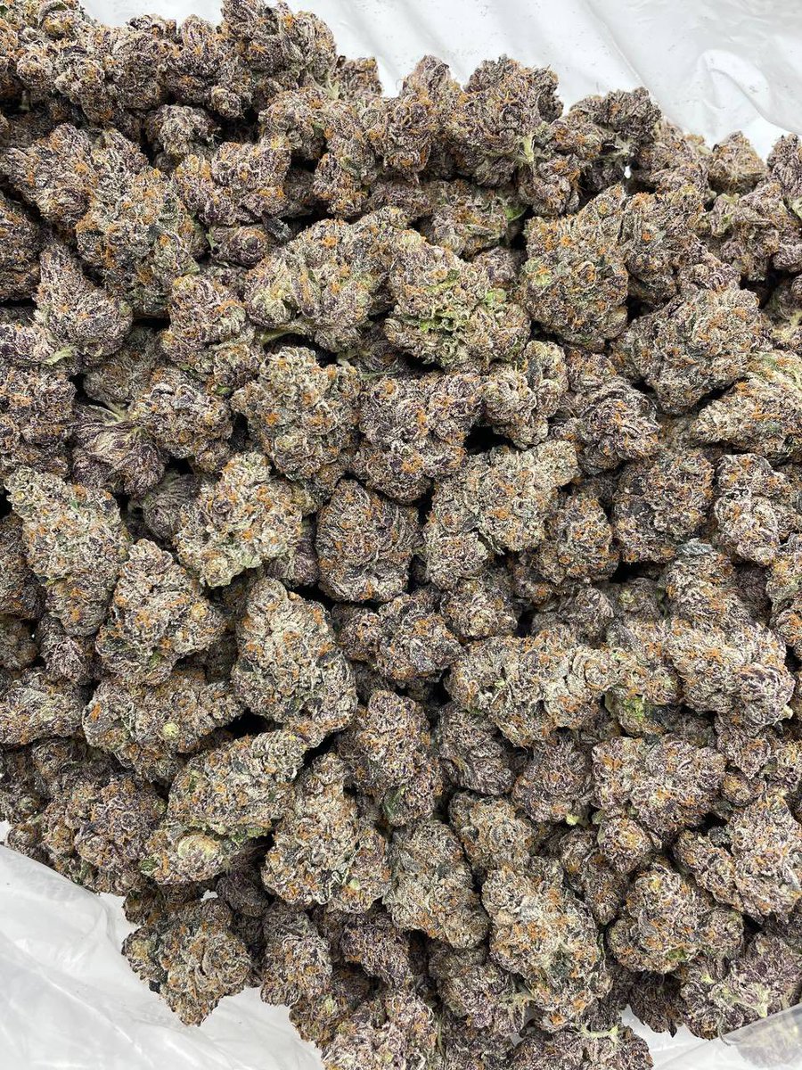 Blueberry Poppers indoors

Amazing bag appeal on these, purple frost covered buds with great structure and a dense and sticky cure. Unique mix of pop rocks and blueberry gelato noses 🔥