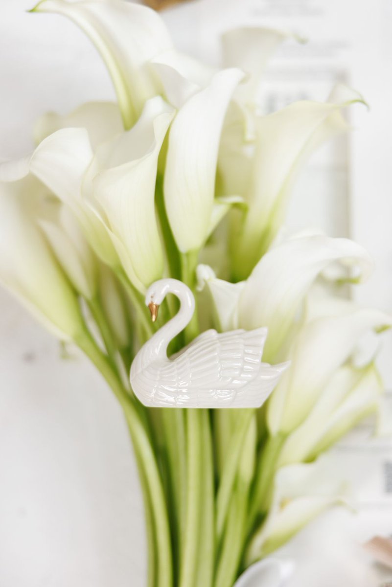 #ThrowbackThursday: Symbol of Love 🦢 

This wedding took inspiration from swans in their ceremonial display.

Take a look at more beautiful moments from Olivia and Dean's wedding: buff.ly/rIlCu2D 

📸: Natali and Kate Wedding Photography