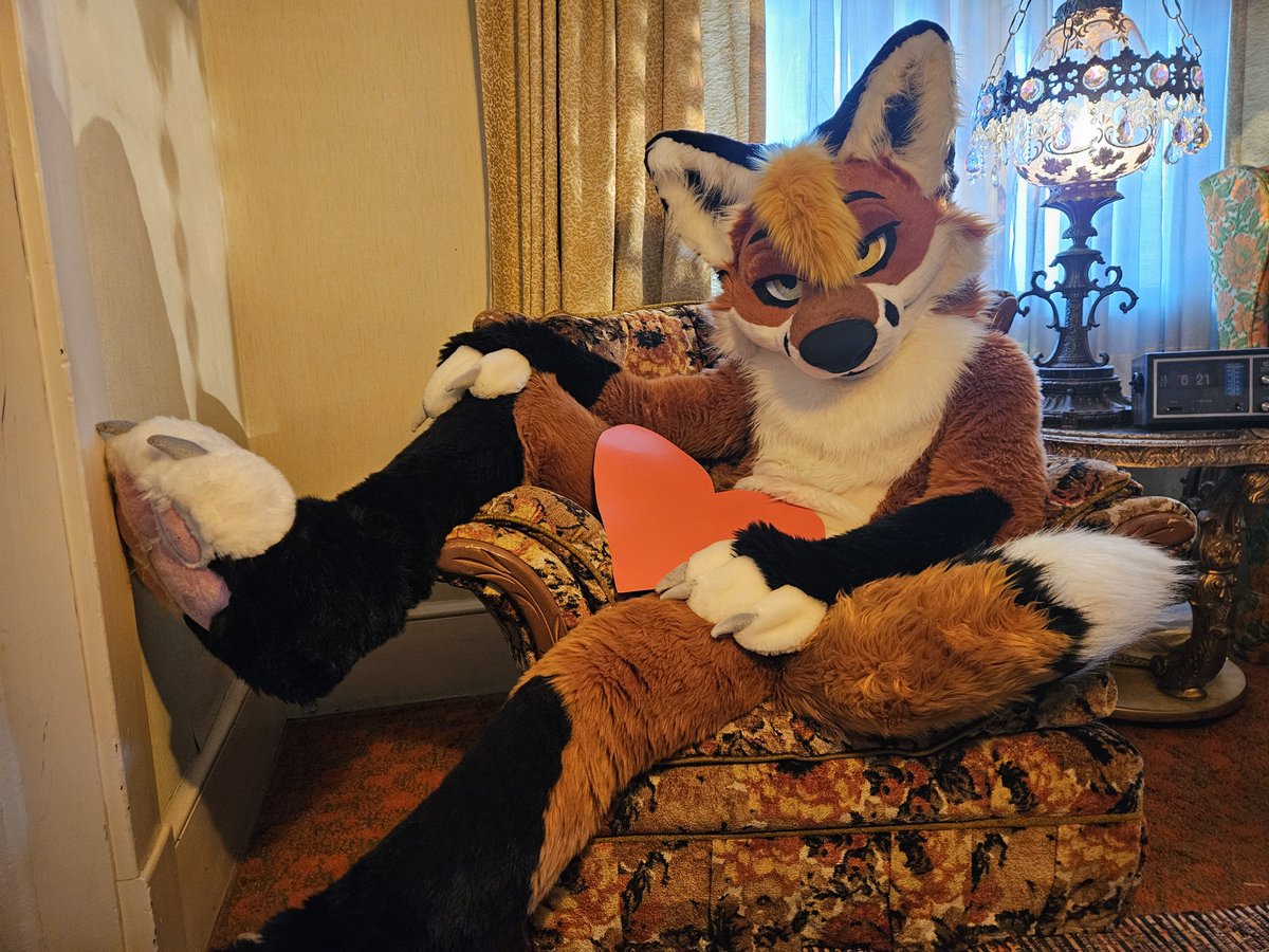 ShadowFox tweet media