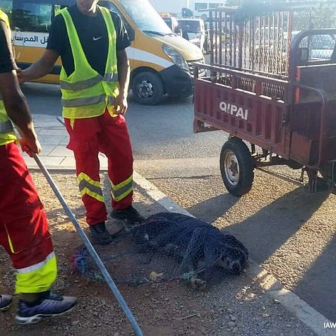 The Touchline | 𝐓 tweet media