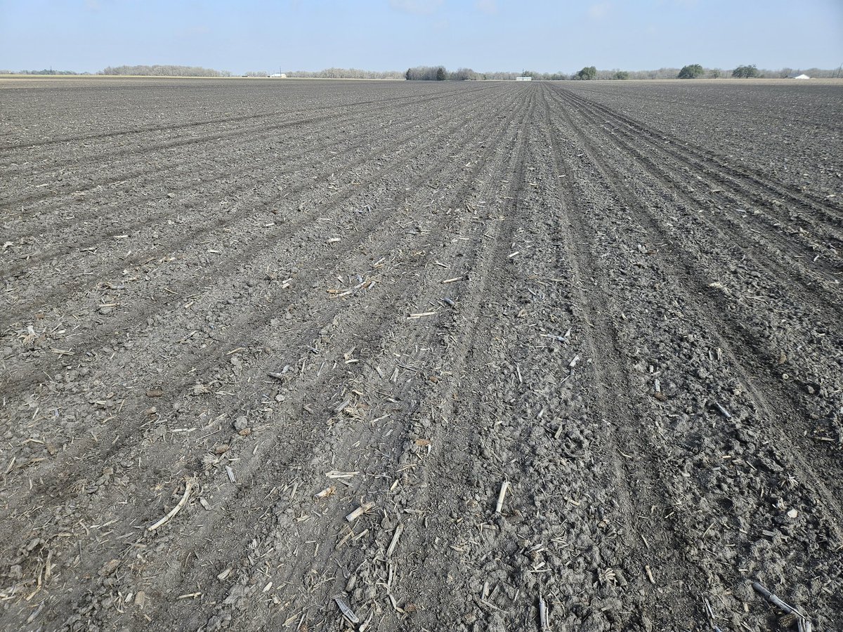 Allen Meissner tweet media