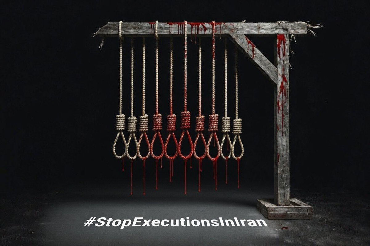 براساس گزارش سازمان حقوق بشر ایران دست‌کم ۲۶ نفر از بازداشت‌شدگان اعتراضات دی‌ماه در دادگاه‌های بدوی جمهوری اسلامی به اعدام محکوم شده‌اند.

در میان اسامی اعلام‌شده، هفت نفر عبارت‌اند از:
#محمدامین_بیگلری، #علی_فهیم،  #ابوالفضل_صالحی، #امیرحسین_حاتمی، #شاهین_واحدپرست، #شهاب_زاهدی